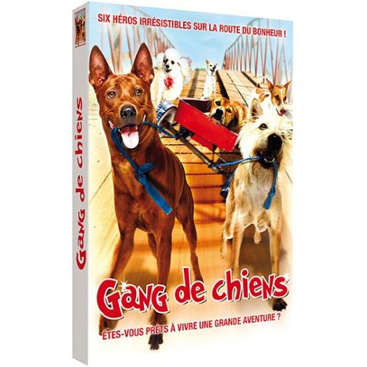 dvd-gang-de-chiens
